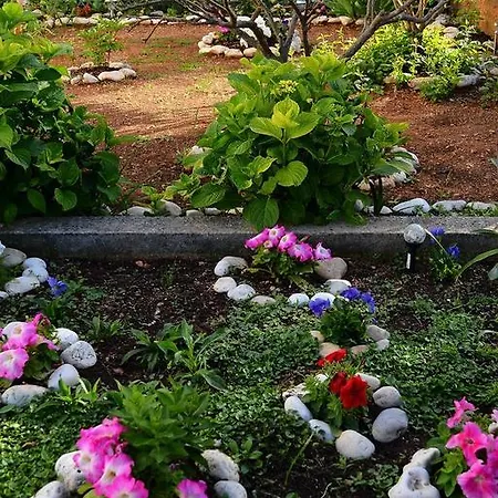 Lägenhet Marko Korčula