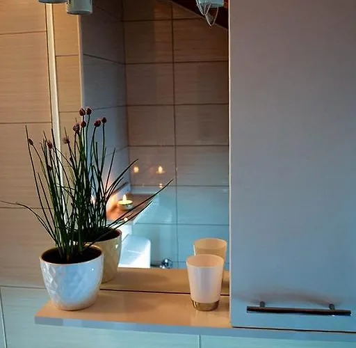 Marko קורצולה